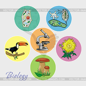 Set of images on theme of Biology - vector image