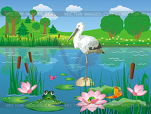 Beautiful pond with stork and frog - vector image