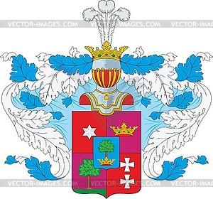 Neplyuev family coat of arms (#4) - color vector clipart