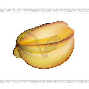 Star of tropics sweet Carambola fruit - vector image