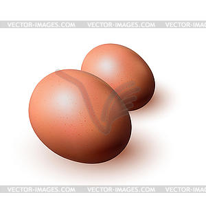 Brown eggs  - vector clip art