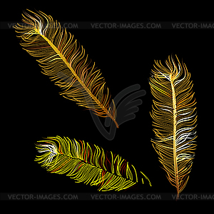 Golden Fabulous feather of bird - vector clipart