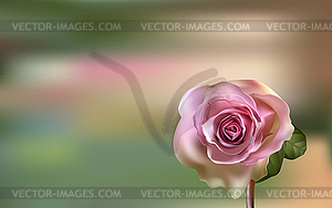 Нежный розовый Роза на размытом зеленом фоне - графика в векторном формате