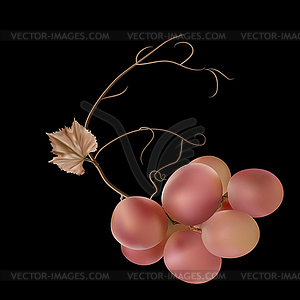 Fresh bunch of grapes purple - vector clip art