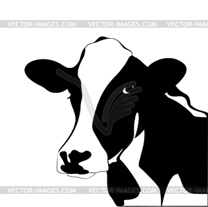 Portrait big black and white cow - vector EPS clipart