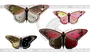 Vintage mystical butterfly in scarlet colors - stock vector clipart