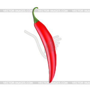 Realistic picture of Cayenne red pepper - vector image