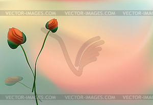 Flowers of red poppy on grey background - vector clip art