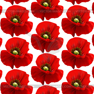 Flowers of red poppy on blur background - vector clipart