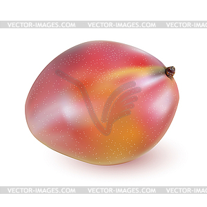 Red ripe mango on wooden surface - vector EPS clipart