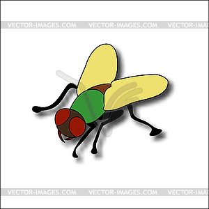 cartoon fly drawing