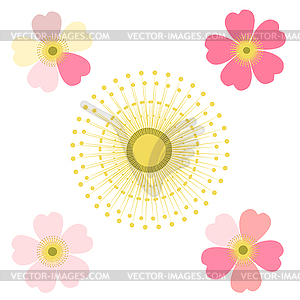 Romantic floral background. Flower. Japanese daisies - vector image