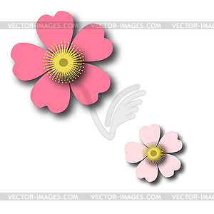 Romantic floral background. Flower. Japanese daisies - stock vector clipart