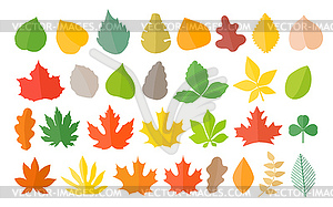 Different color autumn leaves collection. Leaves - vector image