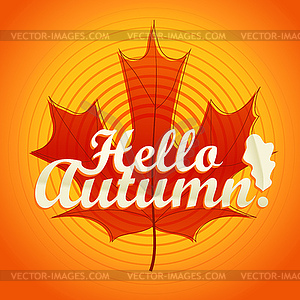 Hello autumn logo. Color maple leaf - vector image