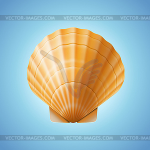 Realistic scallop seashell, on blue background - vector image