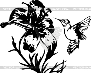 Hummingbird and tropical flowers - vector image