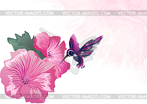 Pink flowers hummingbirds - vector image