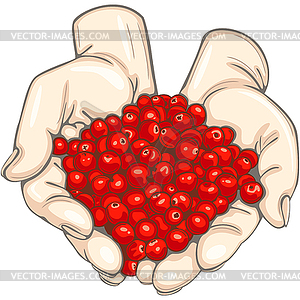 Hands with cranberry - vector clipart