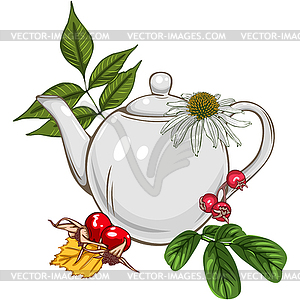 Заварочный чайник с травами и ягодами - клипарт в векторе / векторное изображение
