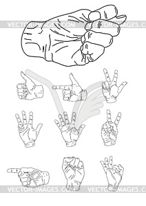 Set of human hand white - vector image