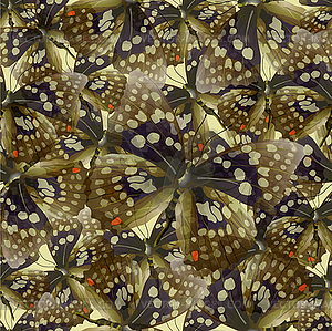Seamless pattern of butterflies - vector image