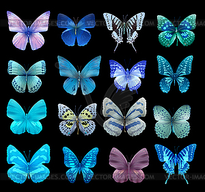 butteflies бесшовные модели - стоковый клипарт