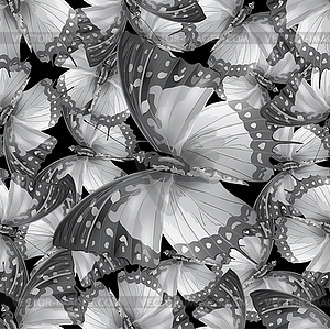 Butterfly 03 black - vector clipart