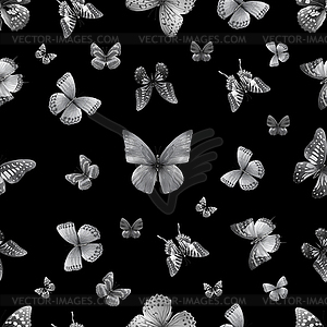 Butterfly s. black 0 - vector clipart