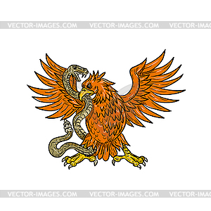 Golden Eagle Grappling Rattlesnake Drawing Vector Eps Clipart