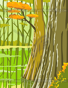 Congaree National Park in Columbia South Carolina - vector image