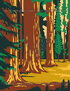 Sequoia and Kings Canyon National Park in Sierra - vector clipart
