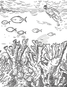 Snorkeler and Elkhorn Corals in Biscayne National - vector image
