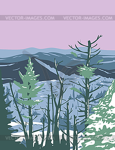 Great Smoky Mountains National Park during Winter i - vector clipart