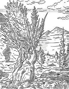 Prometheus Tree and Wheeler Peak in Great Basin - vector EPS clipart