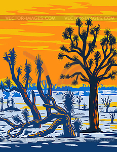 Arizona Joshua Tree Forest Found near West End of - vector clipart