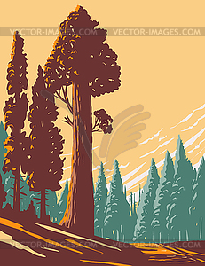 General Grant Tree Trail with Largest Giant - vector clipart
