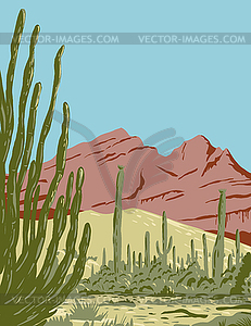 Organ Pipe Cactus National Monument and Biosphere - vector image