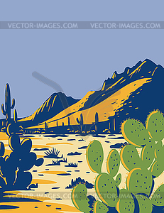 Prickly Pear Cactus or Opuntia Growing in Ironwood - vector clipart