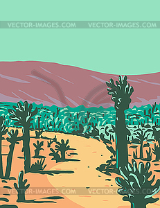 Cholla Cactus Garden Nature Trail near Desert Hot - vector image