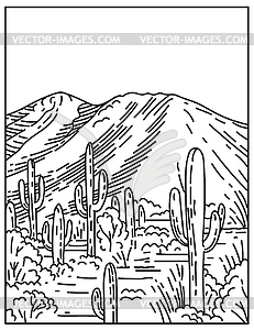 Wasson Peak at Tucson Mountain District in Saguaro - royalty-free vector image