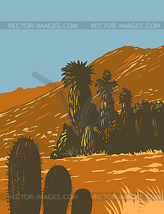 Cactus and Desert Fan Palm Growing in Santa Rosa an - vector image