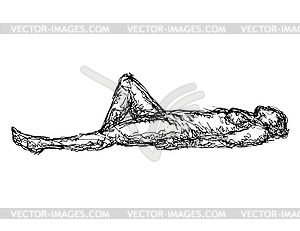 Nude Female Human Figure Supine Pose or Lying Down - vector image