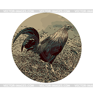 Fighting Game Fowl or Rooster Viewed of Side Set - vector clipart