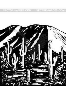 Wasson Peak in Tucson Mountain District of Saguaro - stock vector clipart