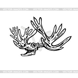 Caribou or Reindeer Skull Skeleton Roaring Side Vie - vector clip art