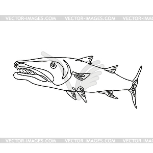 Barracuda or Cuda Predatory Ray-Finned Fish Viewed - vector clipart