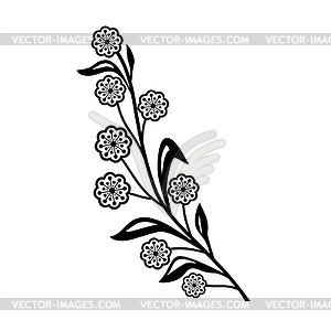 Flower of Golden Wattle or Acacia Pycnantha Tree - vector clipart