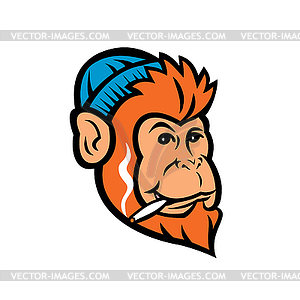 Примат обезьяны обезьяны или шимпанзе курит сустав - стоковый клипарт