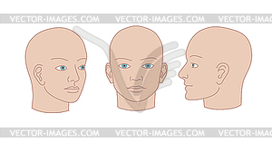 Human heads full-face, half-face and - vector image